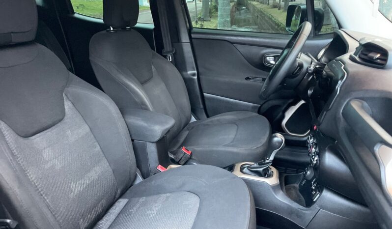JEEP/RENEGADE Ano 2016 Total
